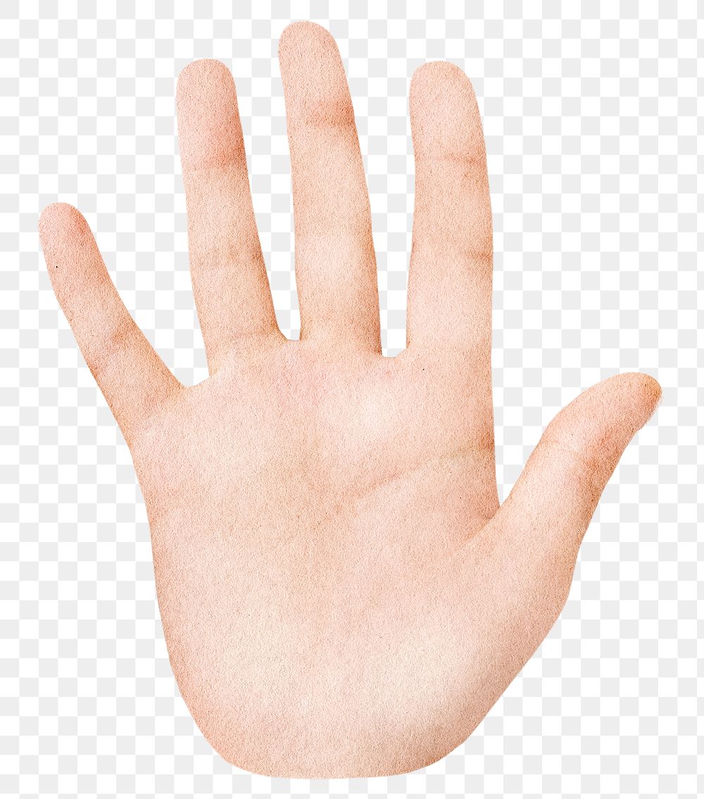 Raised palm hand png sticker, transparent background