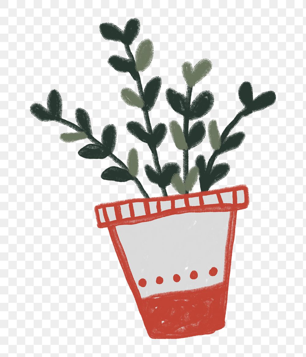 Potted plant png sticker, transparent background