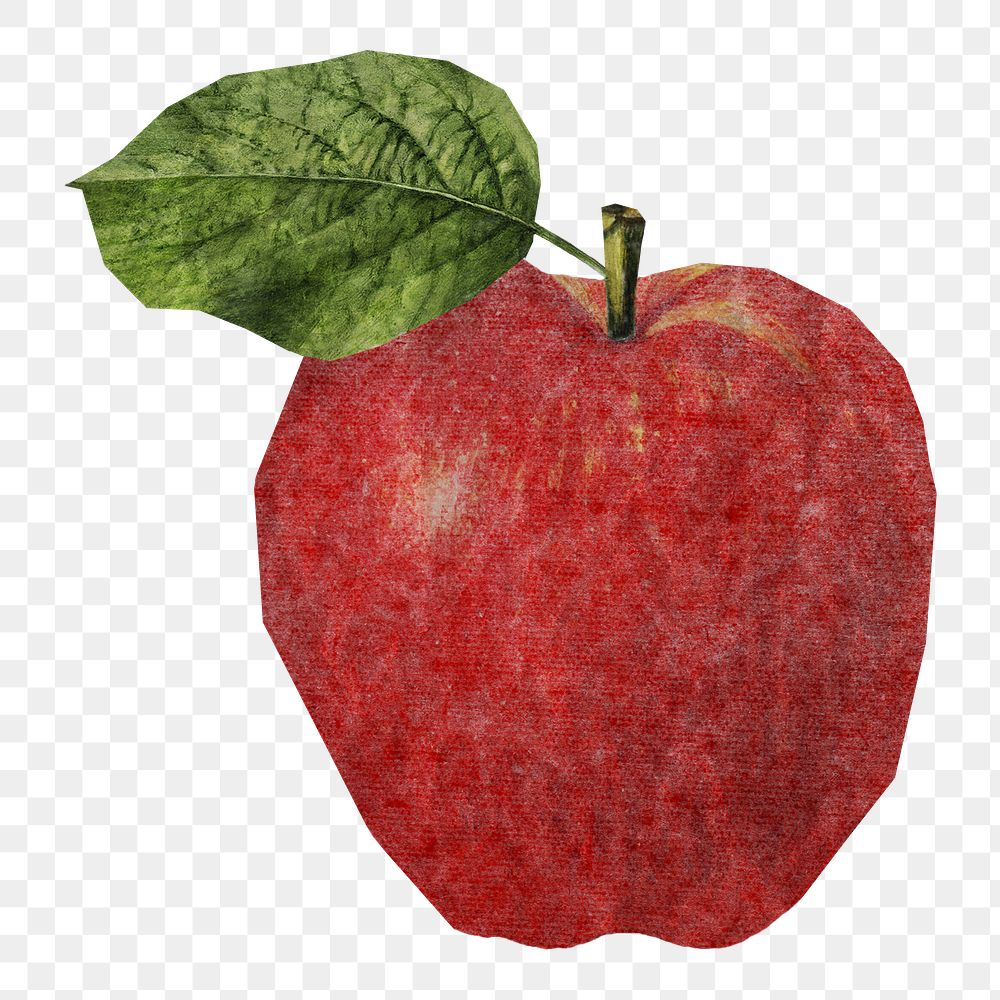 Apple png sticker, transparent background