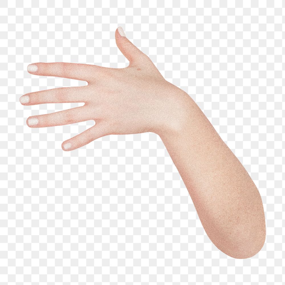 Woman's hand png sticker, transparent background
