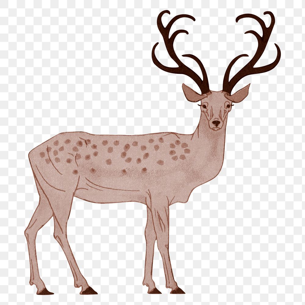 Stag png animal sticker, transparent background, remixed by rawpixel