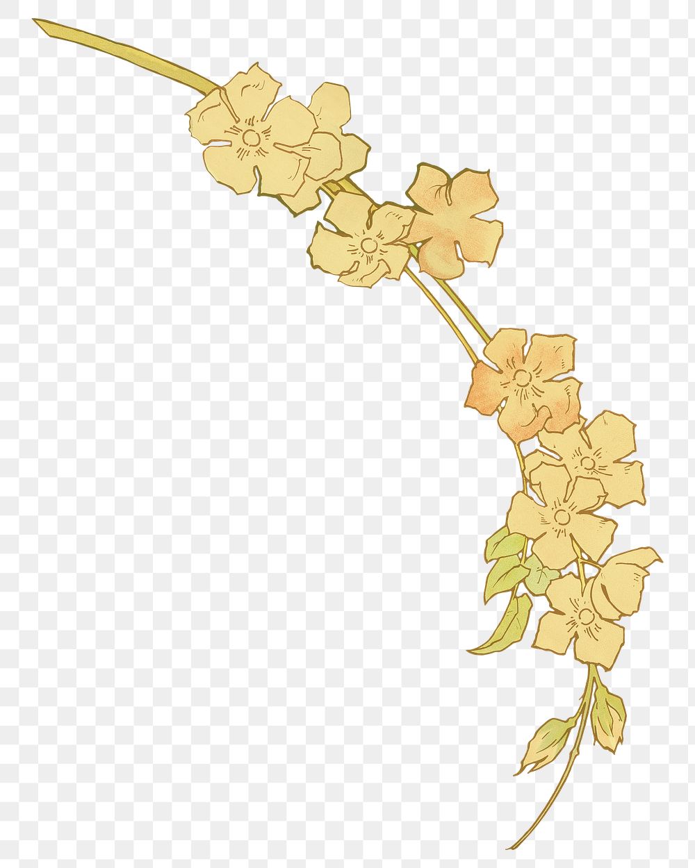 Yellow flower png botanical sticker, transparent background, remixed by rawpixel