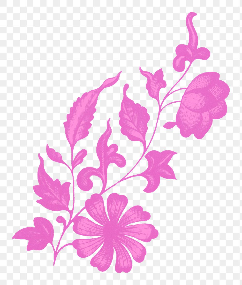 Pink flower png botanical sticker, transparent background, remixed by rawpixel