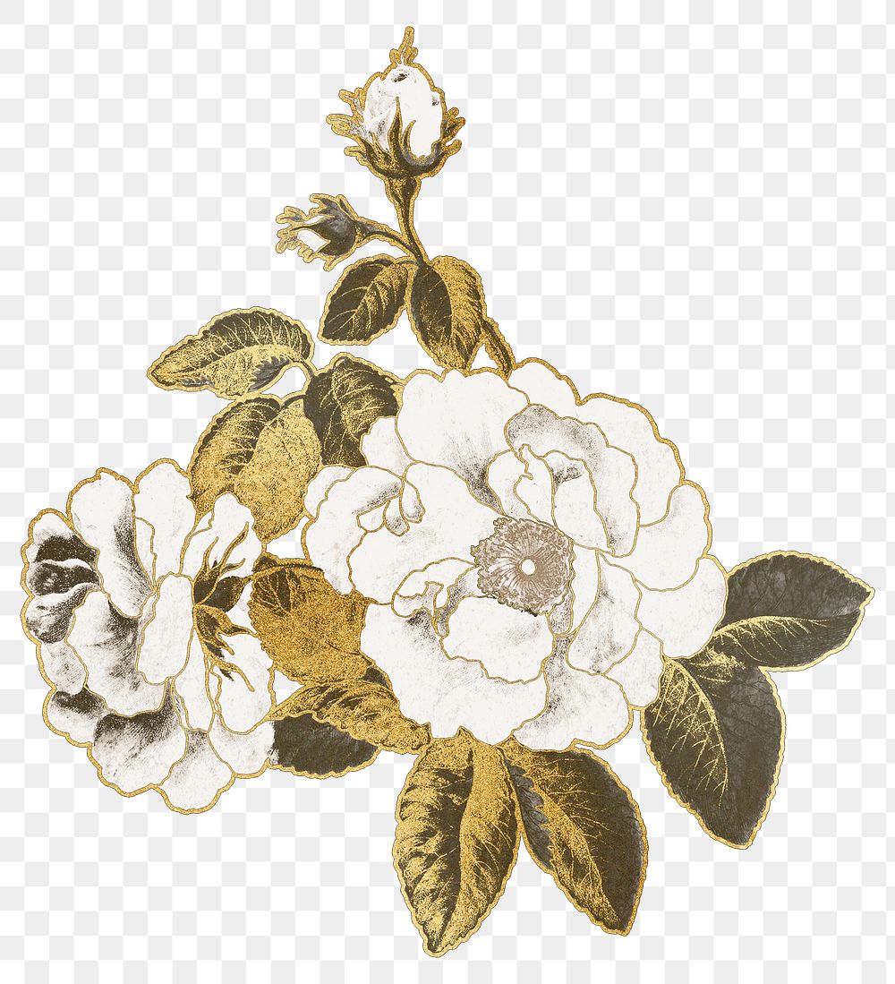 Golden rose png flower sticker, transparent background, remixed by rawpixel