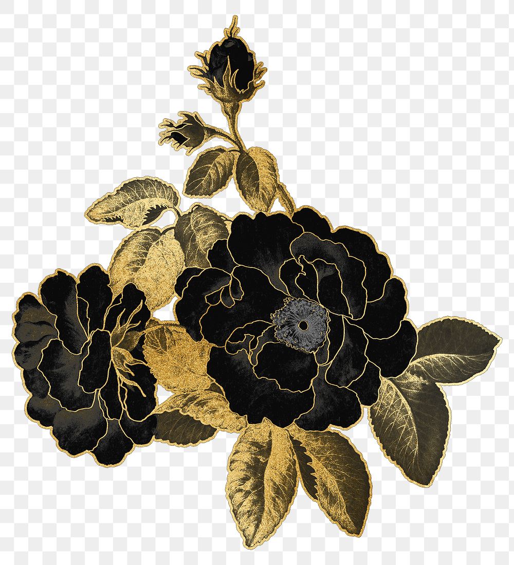 Black rose png flower sticker, transparent background, remixed by rawpixel
