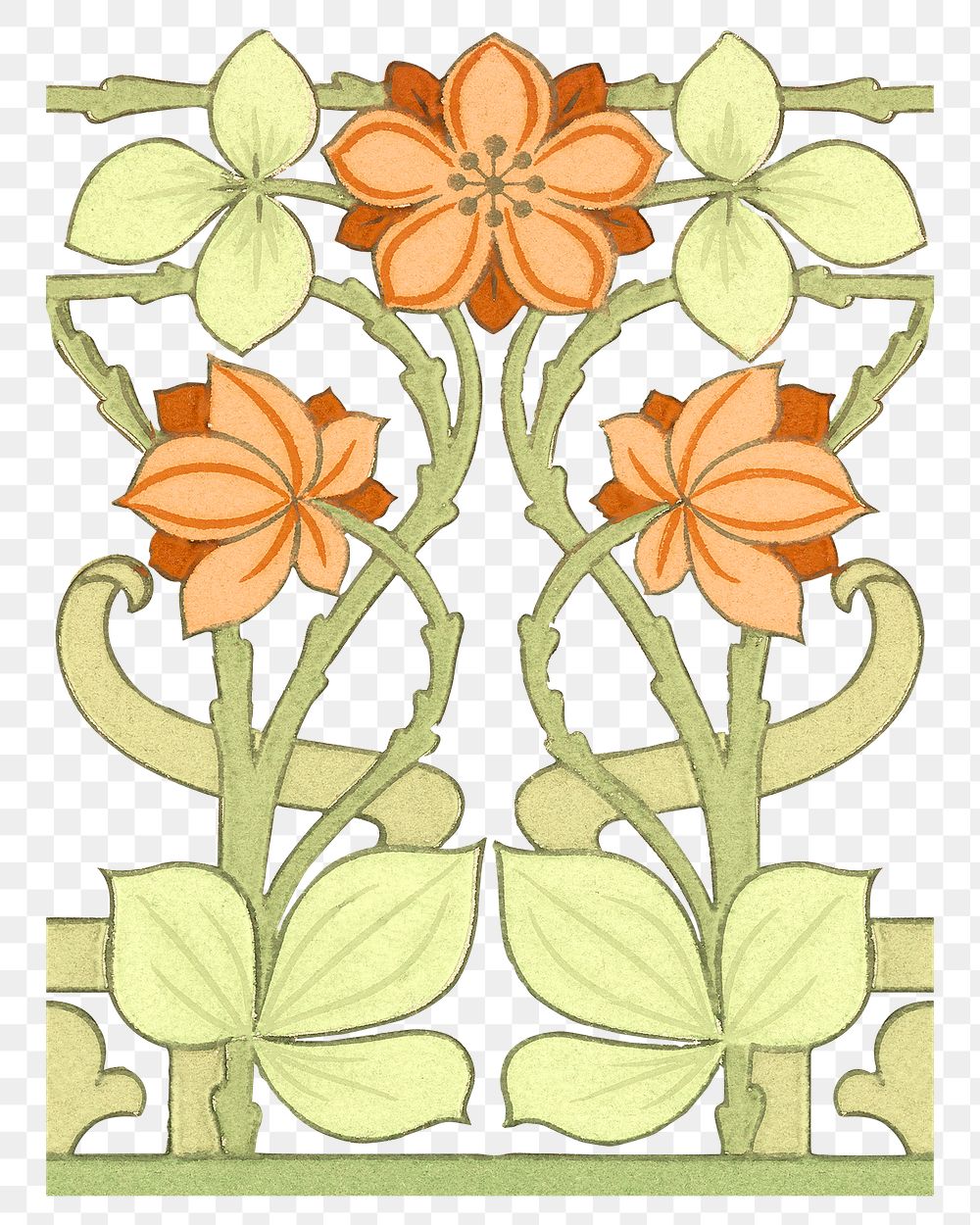 Orange flower png botanical sticker, transparent background, remixed by rawpixel