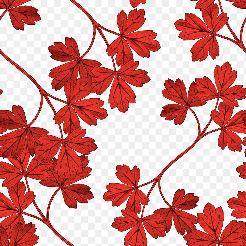 Red leaf png columbine pattern sticker, transparent background, remixed by rawpixel