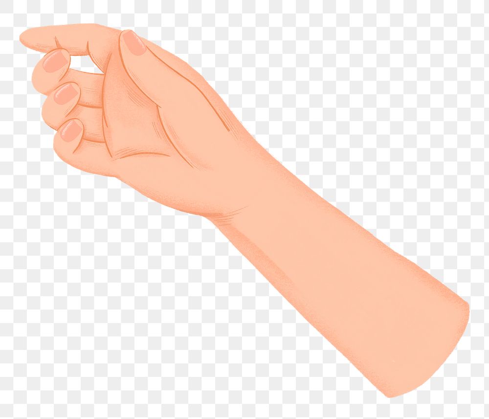 Hand png holding gesture sticker, transparent background