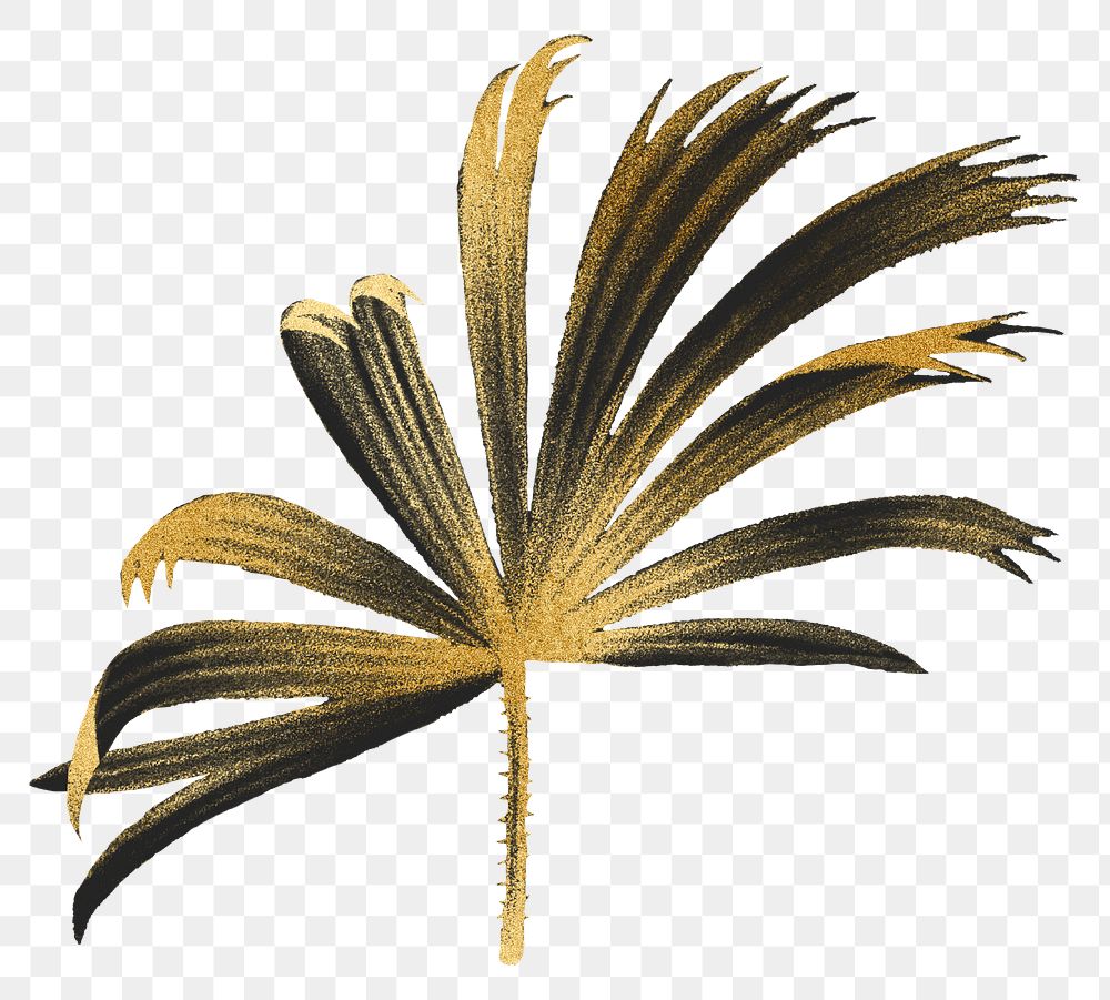 Gold palm png gold sticker, transparent background