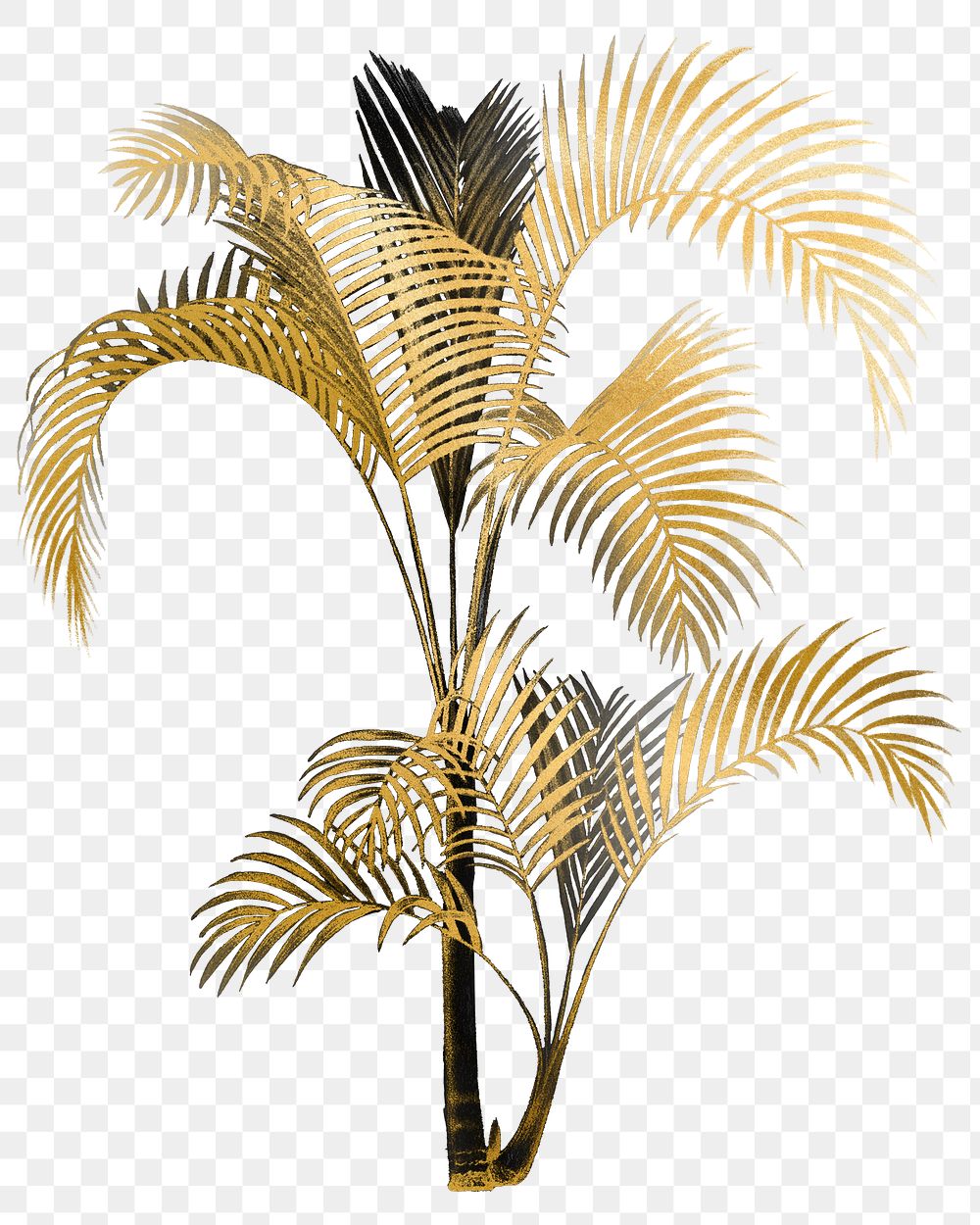 Gold palm png tree sticker, transparent background