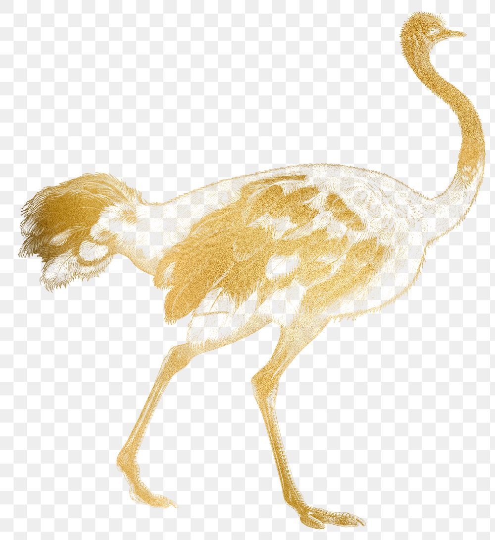 Gold ostrich png animal sticker, transparent background