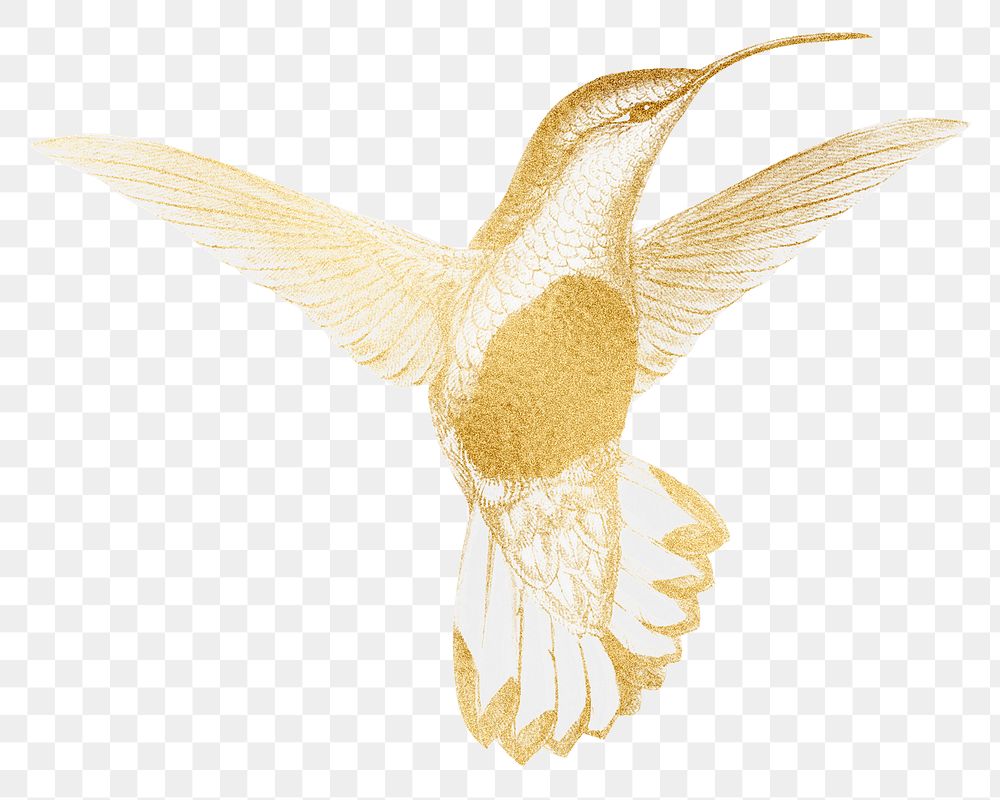 Gold hummingbird png sticker, transparent background