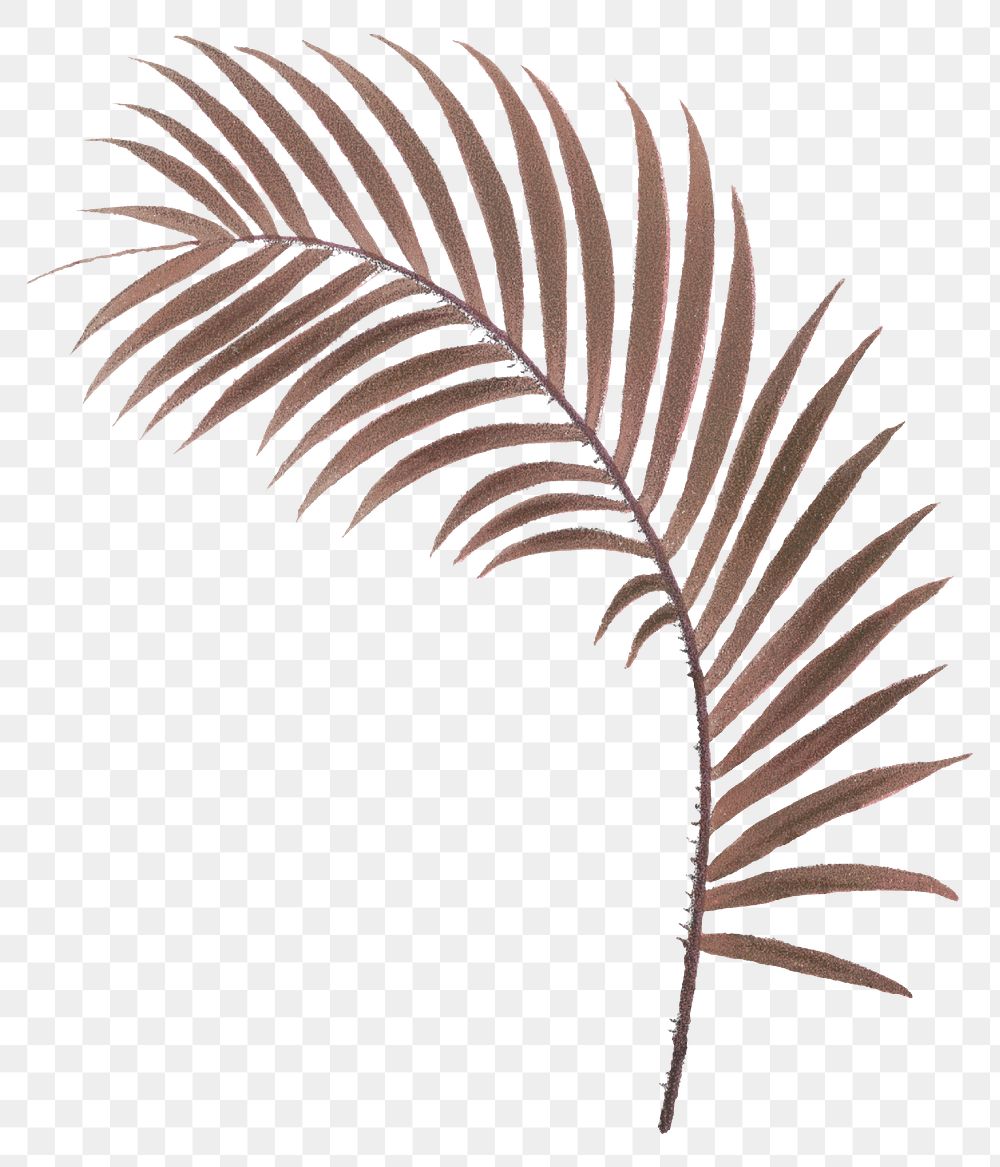 Palm leaf png red sticker, transparent background