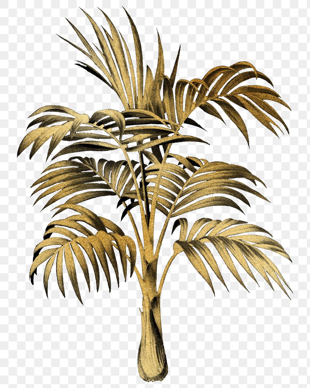 Gold palm png tree sticker, transparent background