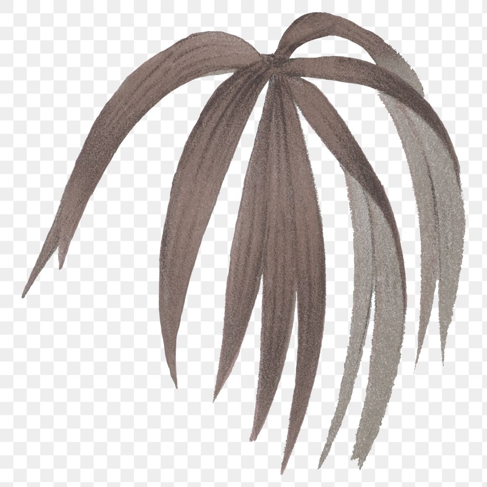 Palm leaf png vintage sticker, transparent background