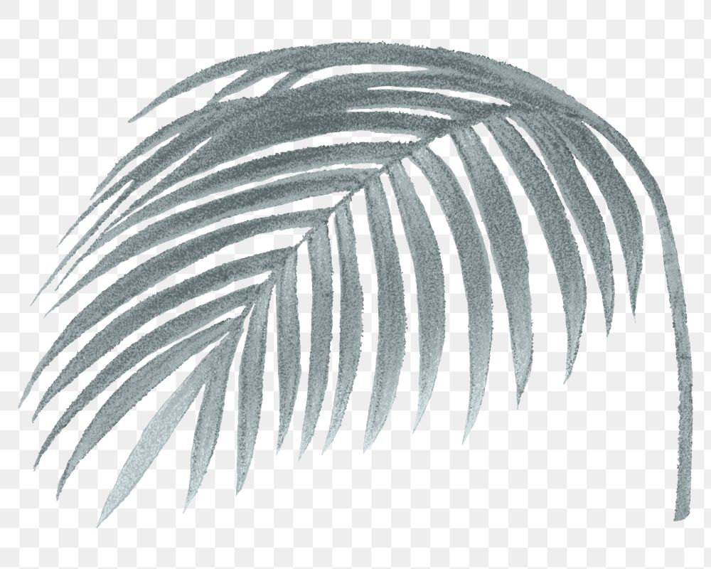 Palm leaf png vintage plant sticker, transparent background