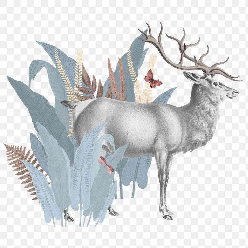 Vintage elk png animal sticker, transparent background
