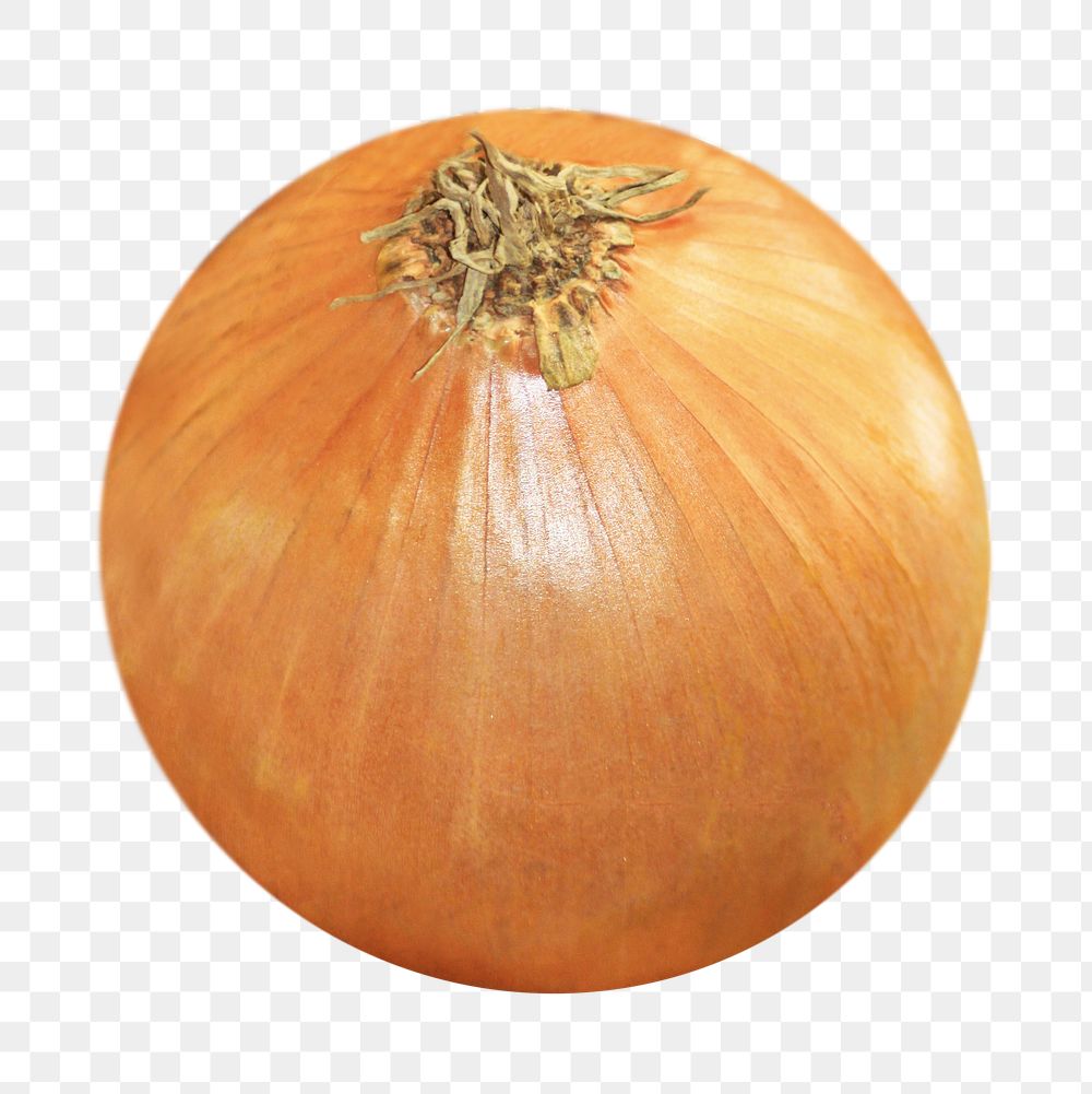 Onion vegetable png sticker, transparent background