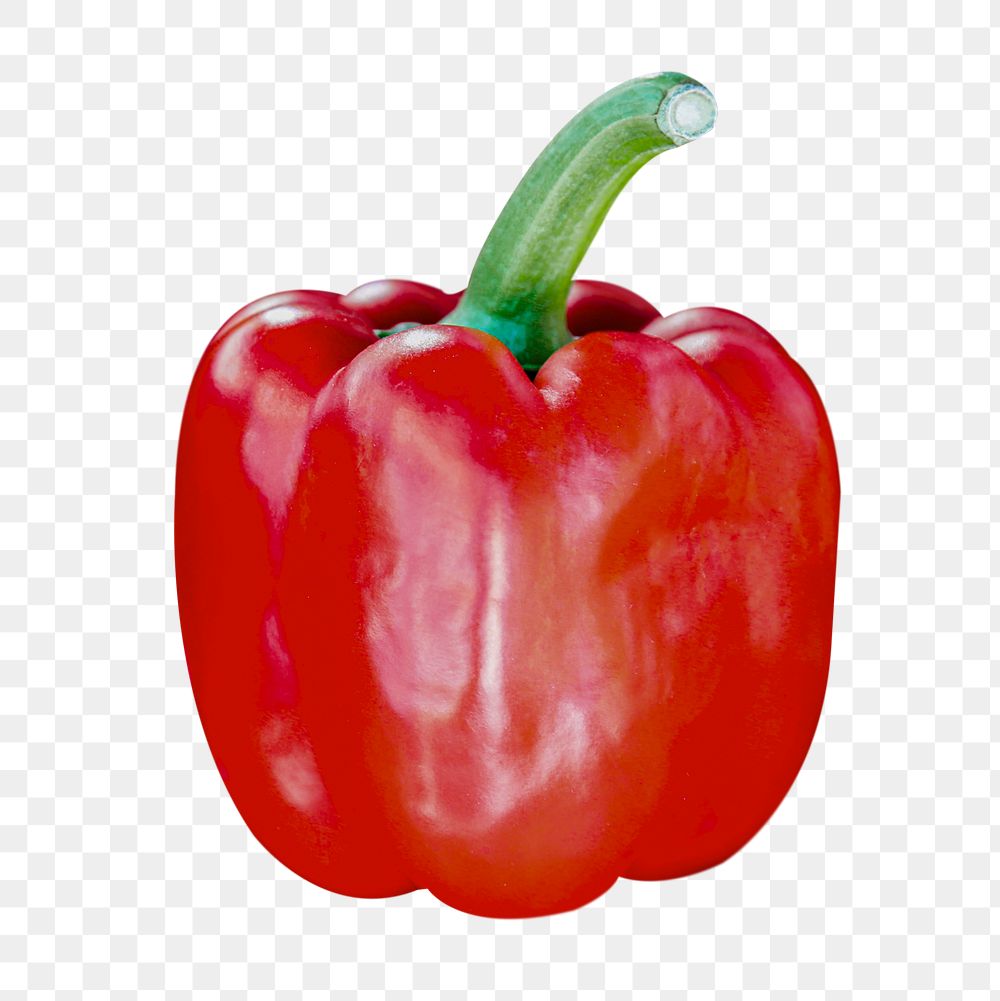 Bell pepper png vegetable sticker, transparent background