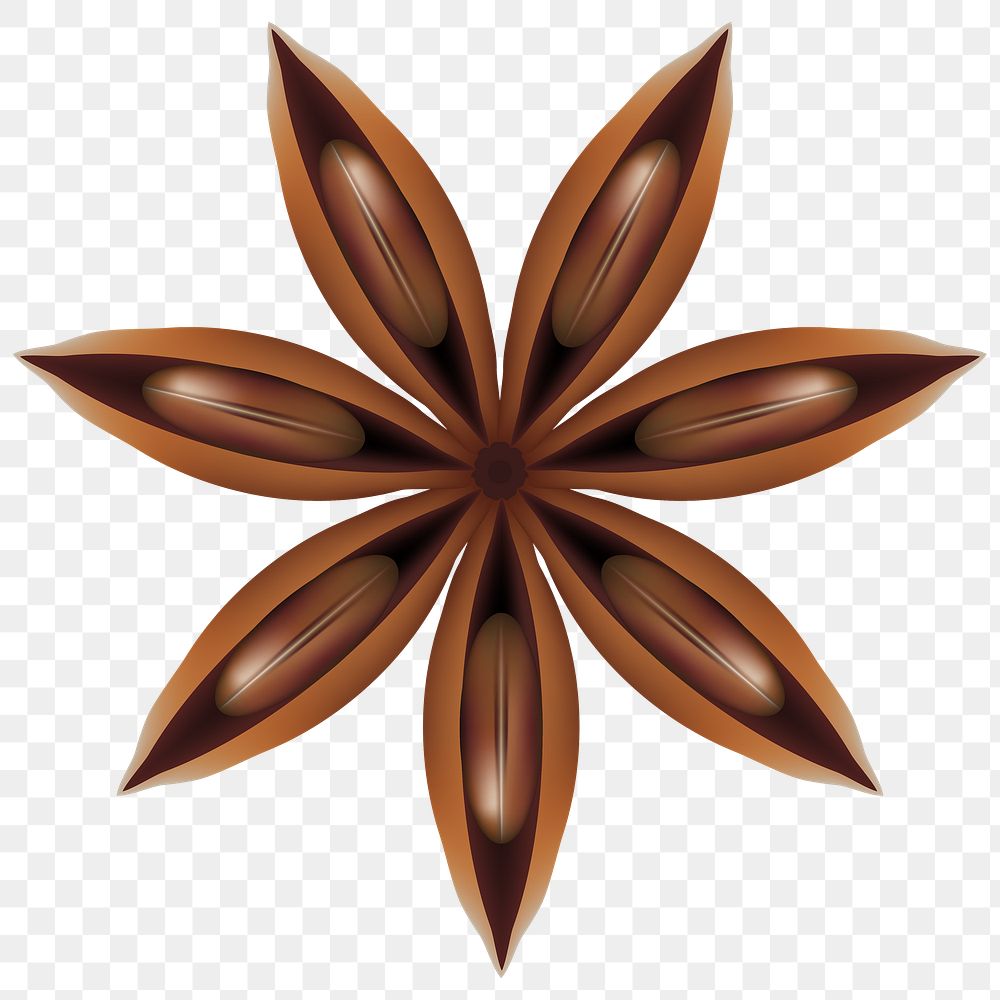 Star anise png Christmas sticker, transparent background