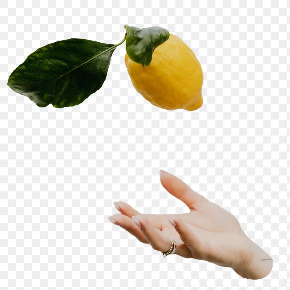 Hand presenting lemon png sticker, transparent background