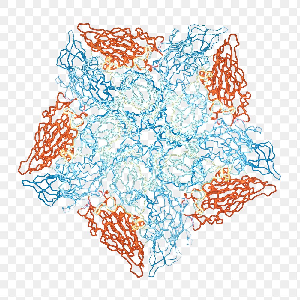Png cold virus HRV14 sticker, transparent background