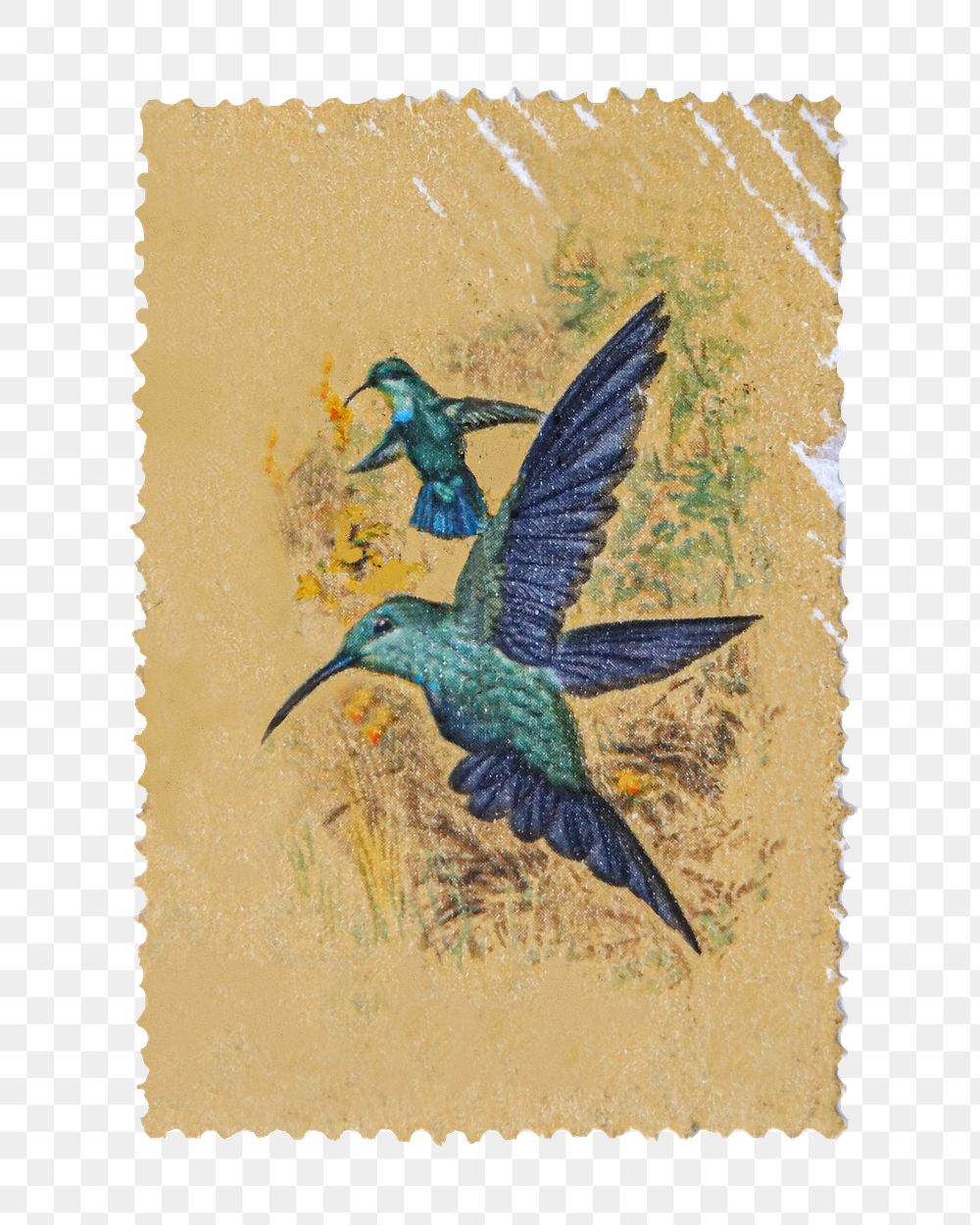 Bird postage stamp png sticker, transparent background