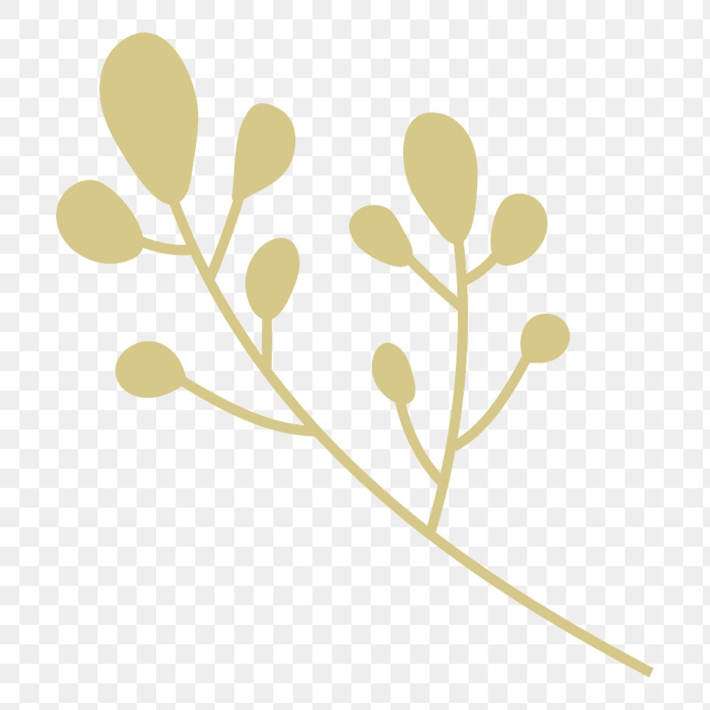 Leaf branch png sticker, transparent background