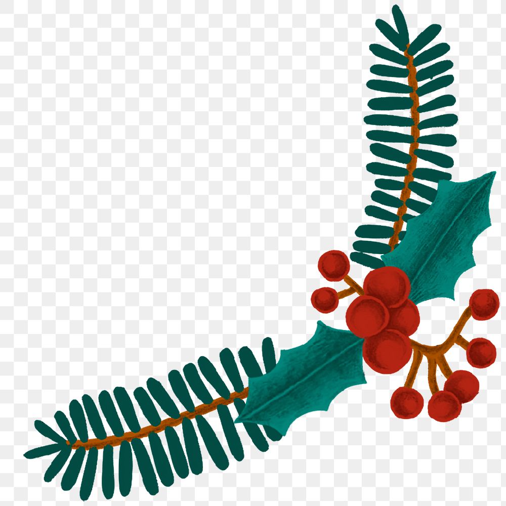 Christmas holly berry png sticker, transparent background