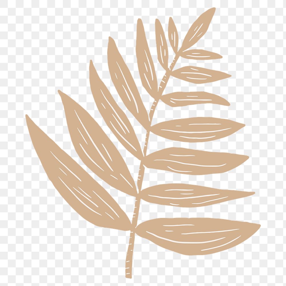 Beige leaf png illustration sticker, transparent background