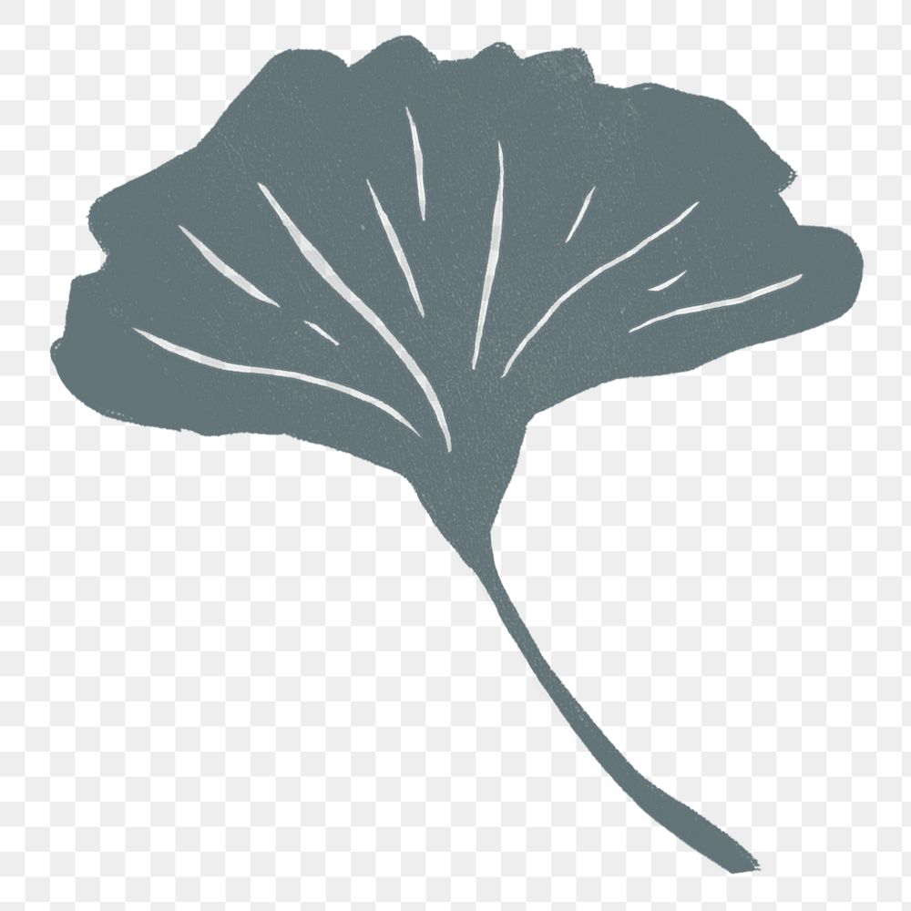 Ginkgo leaf png illustration sticker, transparent background