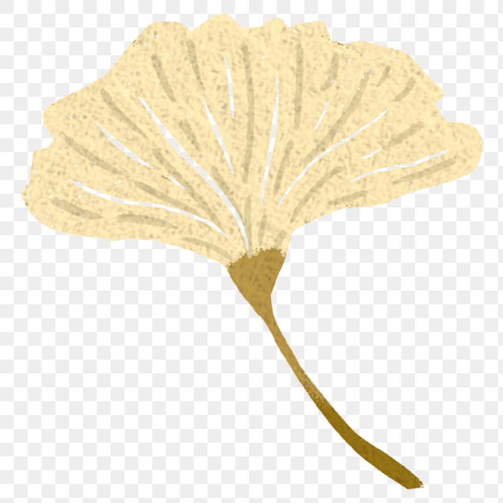 Gold ginkgo leaf png illustration sticker, transparent background