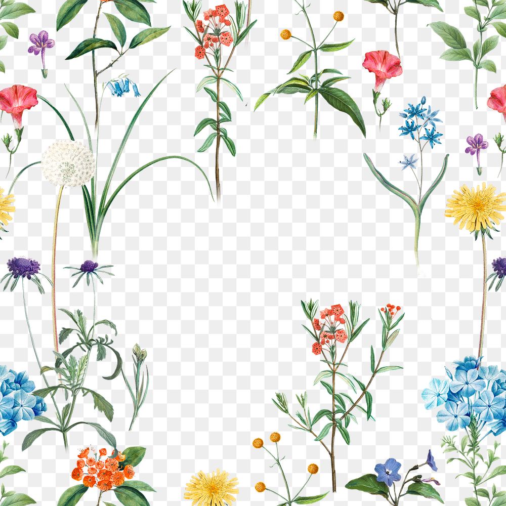 PNG Summer flower frame sticker, painting by Pierre Joseph Redouté on transparent background. Remixed by rawpixel.