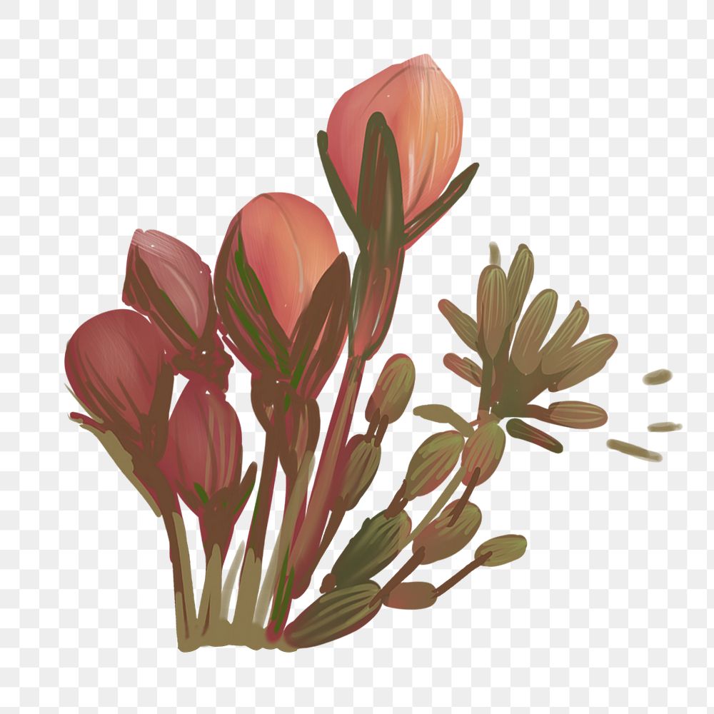 Unbloomed cherry blossom png sticker, transparent background