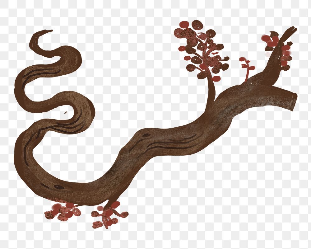 Sakura tree branch png sticker, transparent background