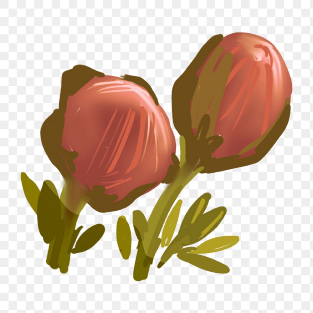 Unbloomed cherry blossom png sticker, transparent background