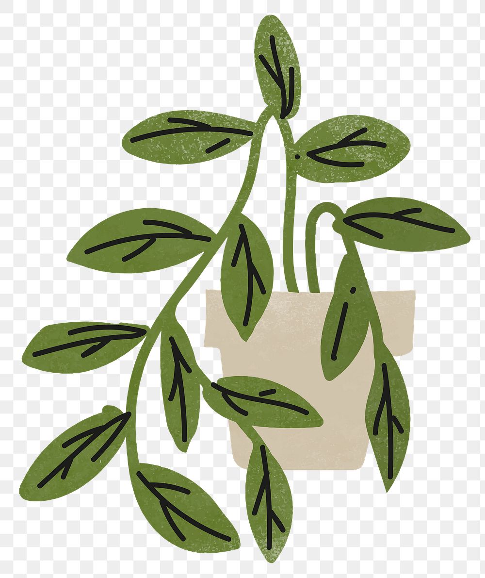House plant png doodle sticker, transparent background