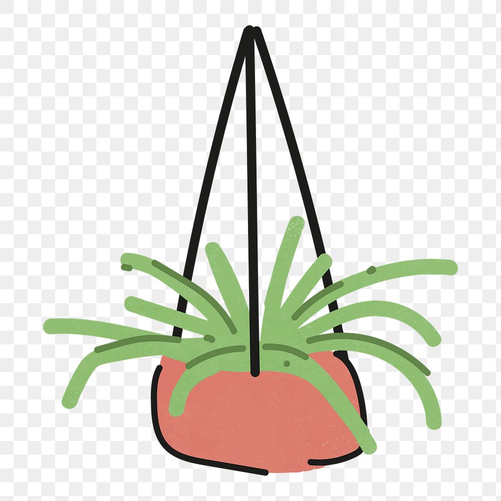 Png hanging potted plant sticker, transparent background
