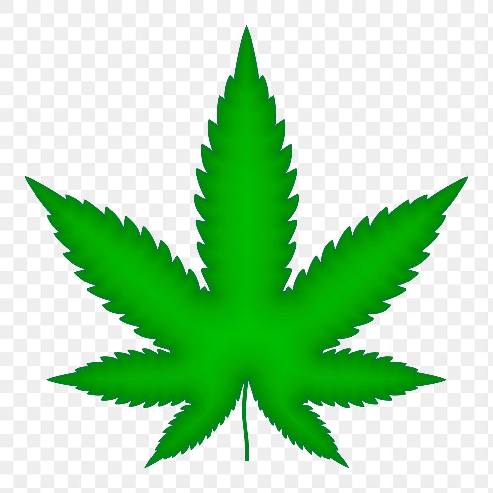 PNG Cannabis leaf clipart, transparent background. Free public domain CC0 image.