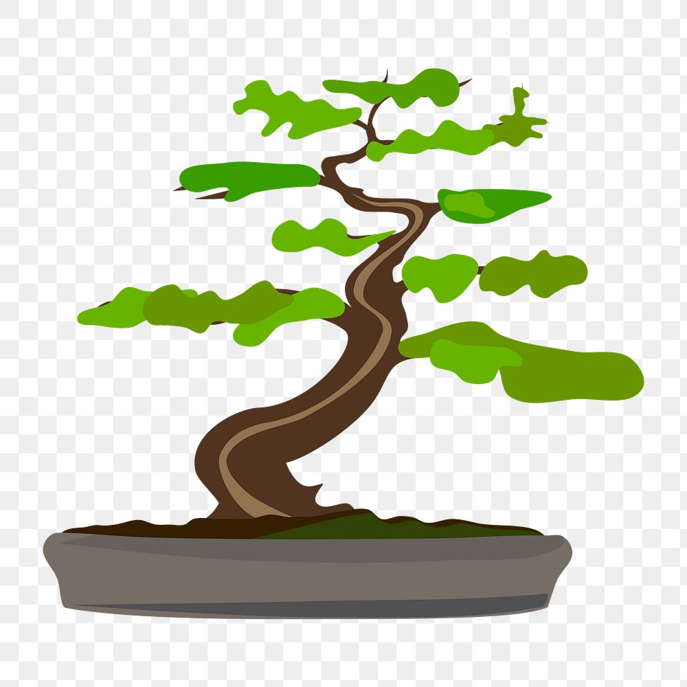 PNG Bonsai tree clipart, transparent background. Free public domain CC0 image.
