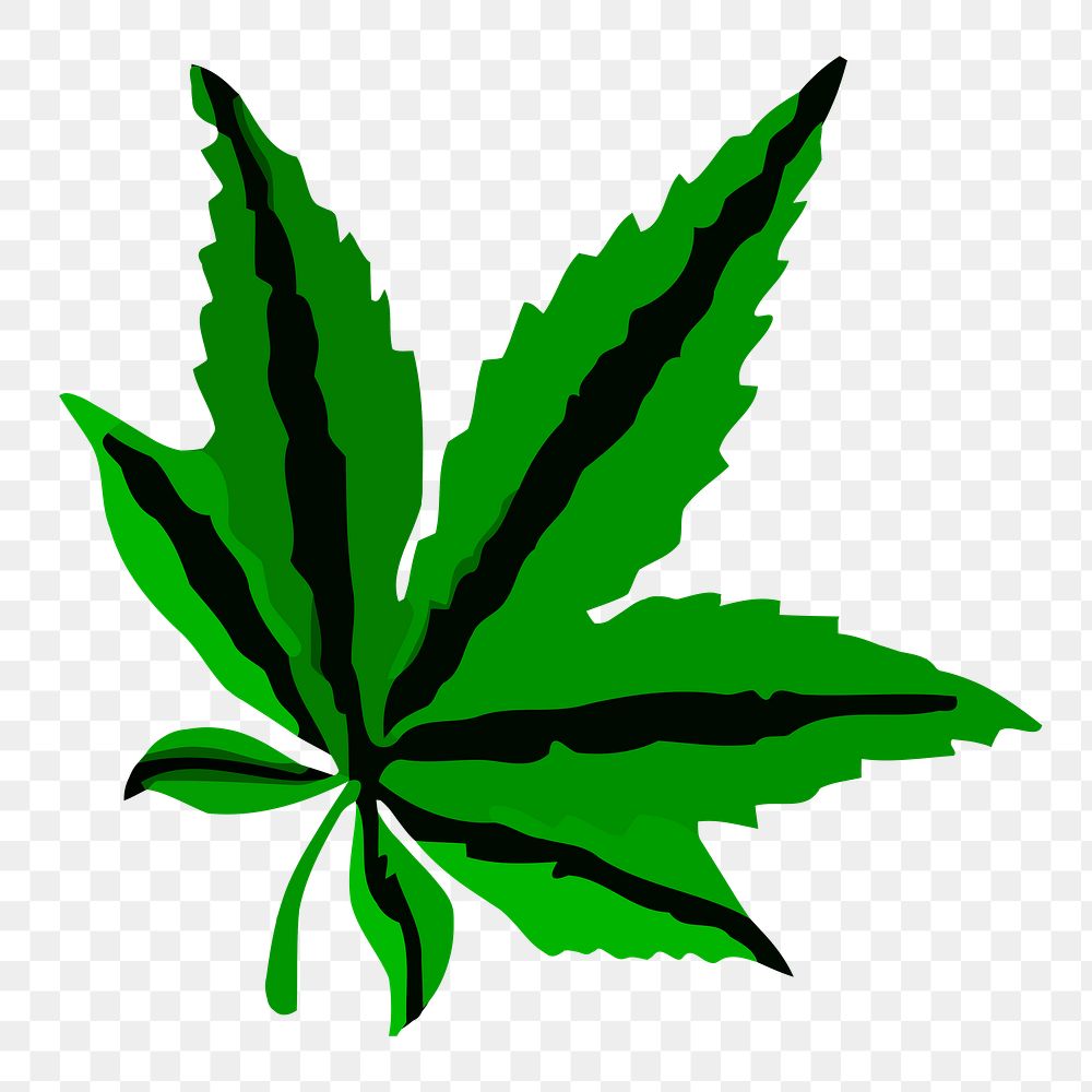 Marijuana Leaf png sticker, transparent background. Free public domain CC0 image.