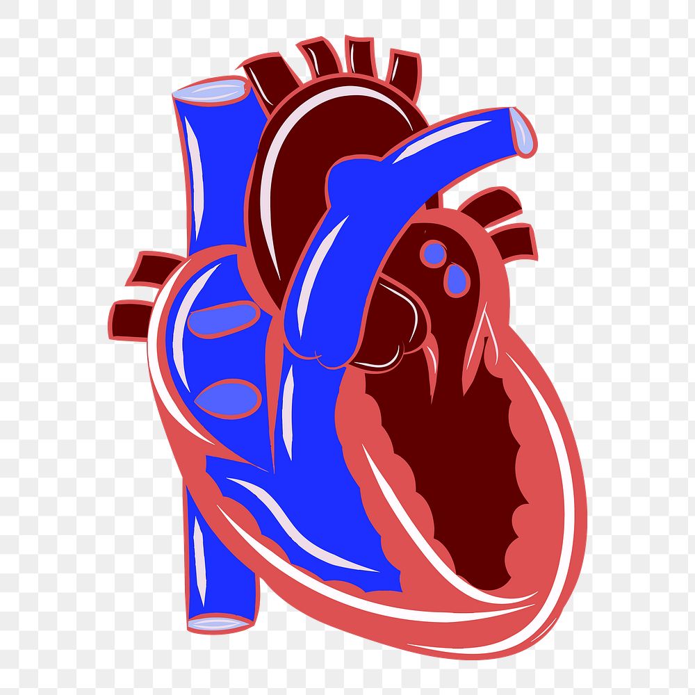 Heart png sticker, transparent background. Free public domain CC0 image.
