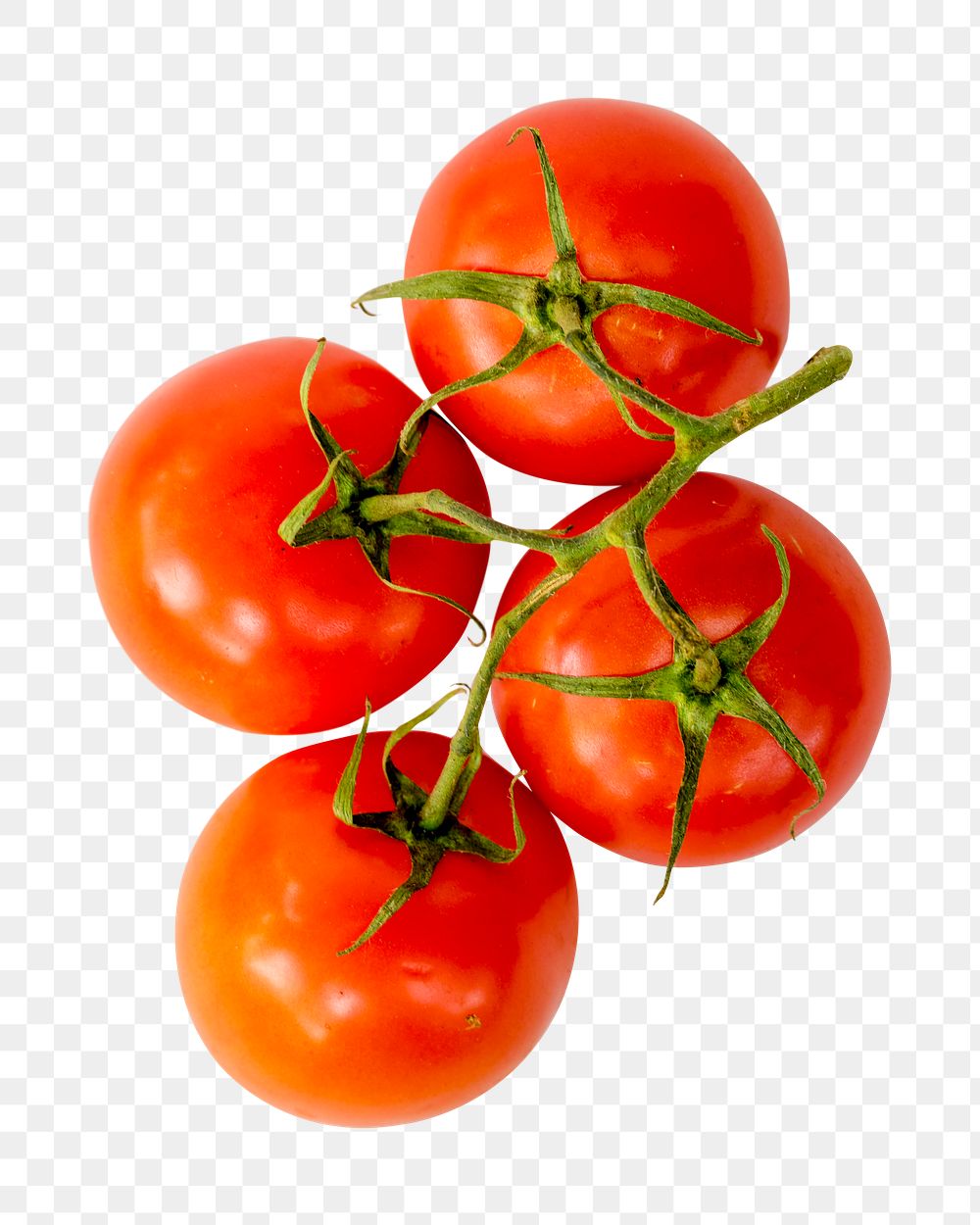 Tomatoes vegetable png sticker, transparent background