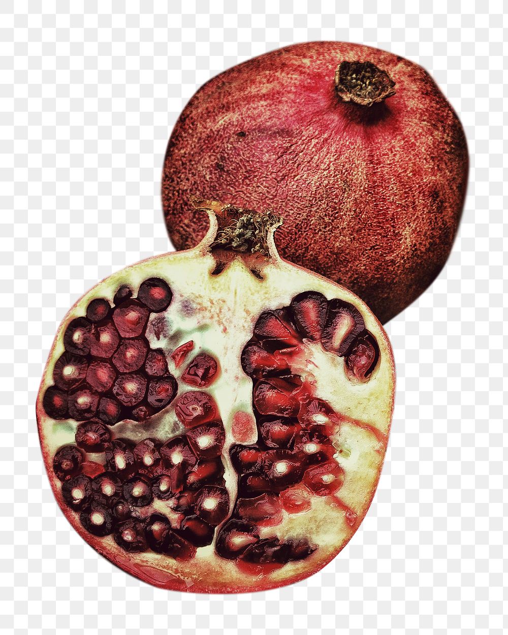 Pomegranate fruit png sticker, transparent background