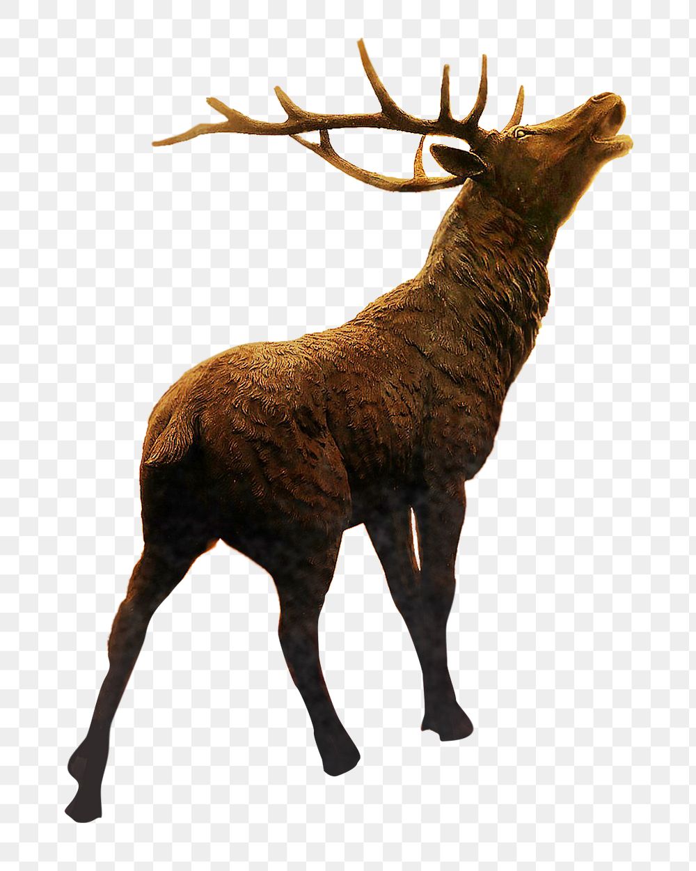 Elk with antlers png sticker, transparent background