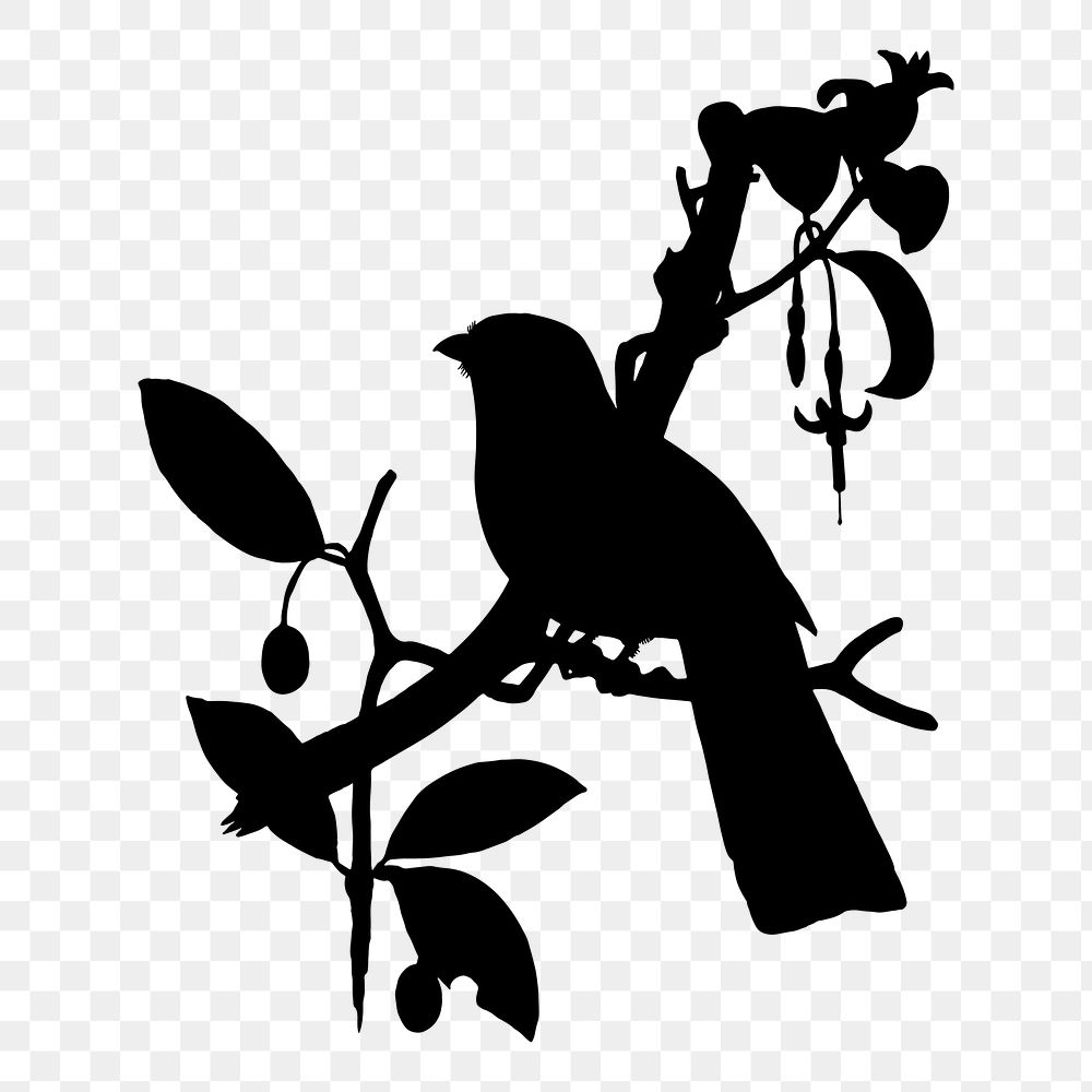 Bird on branch png sticker, silhouette transparent background