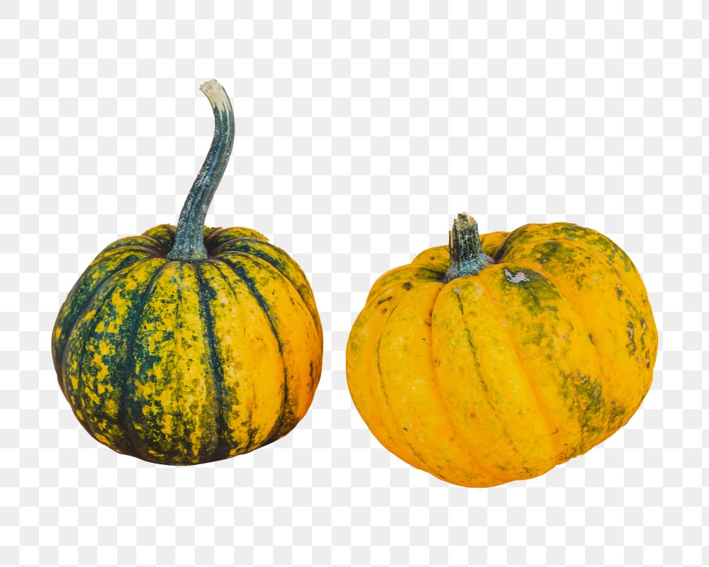 Pumpkins png vegetable sticker, transparent background