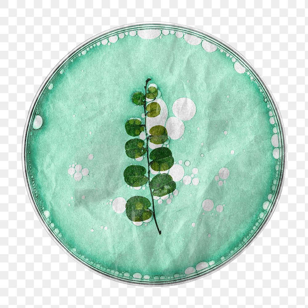 PNG Petri dish, paper craft element, transparent background