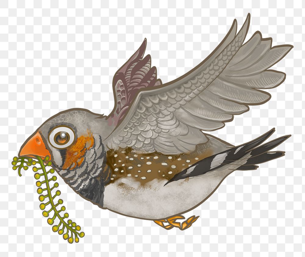 Flying brown bird png sticker, animal illustration on transparent background