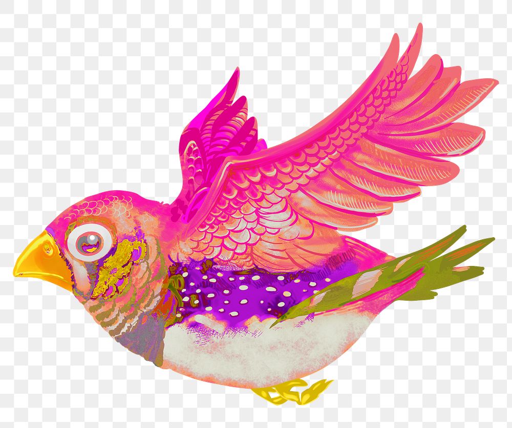 Flying pink bird png sticker, animal illustration on transparent background